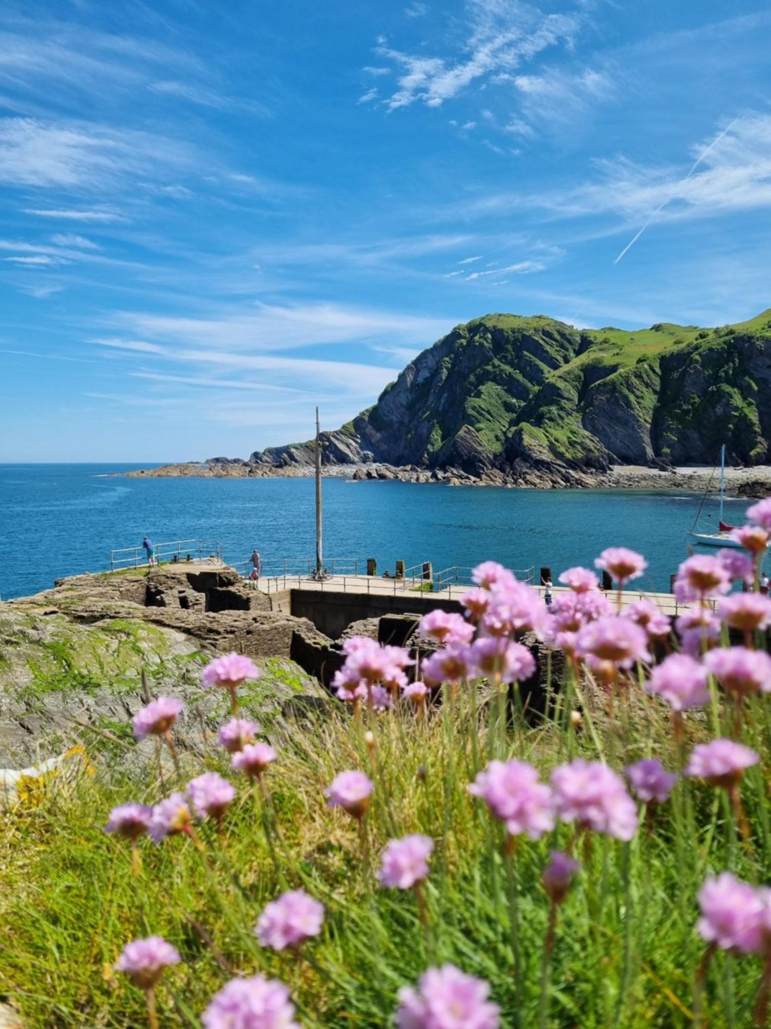 Kittiwake Apartment Ilfracombe Luaran gambar